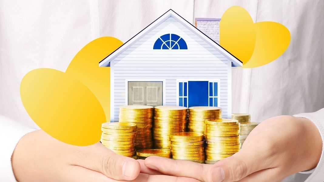 Rabbit care financial products